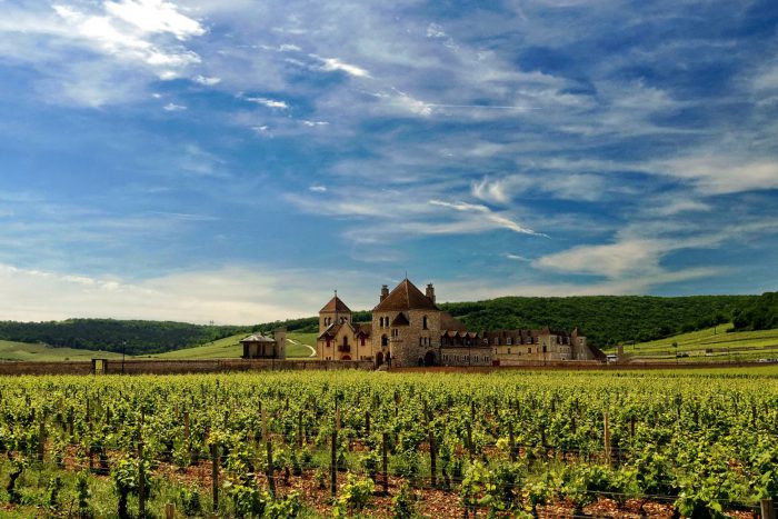 2017 – Du Calcaire et des Vins 2017 – Du Calcaire et des Vins