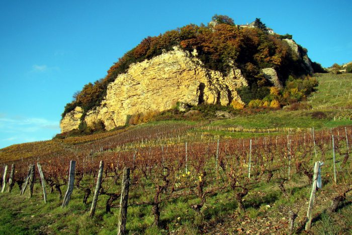 Automne 2016 – Nos Dégustations Automne 2016 – Nos Dégustations