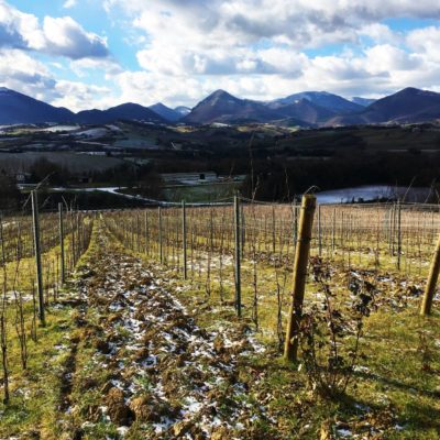 2019 – Marche