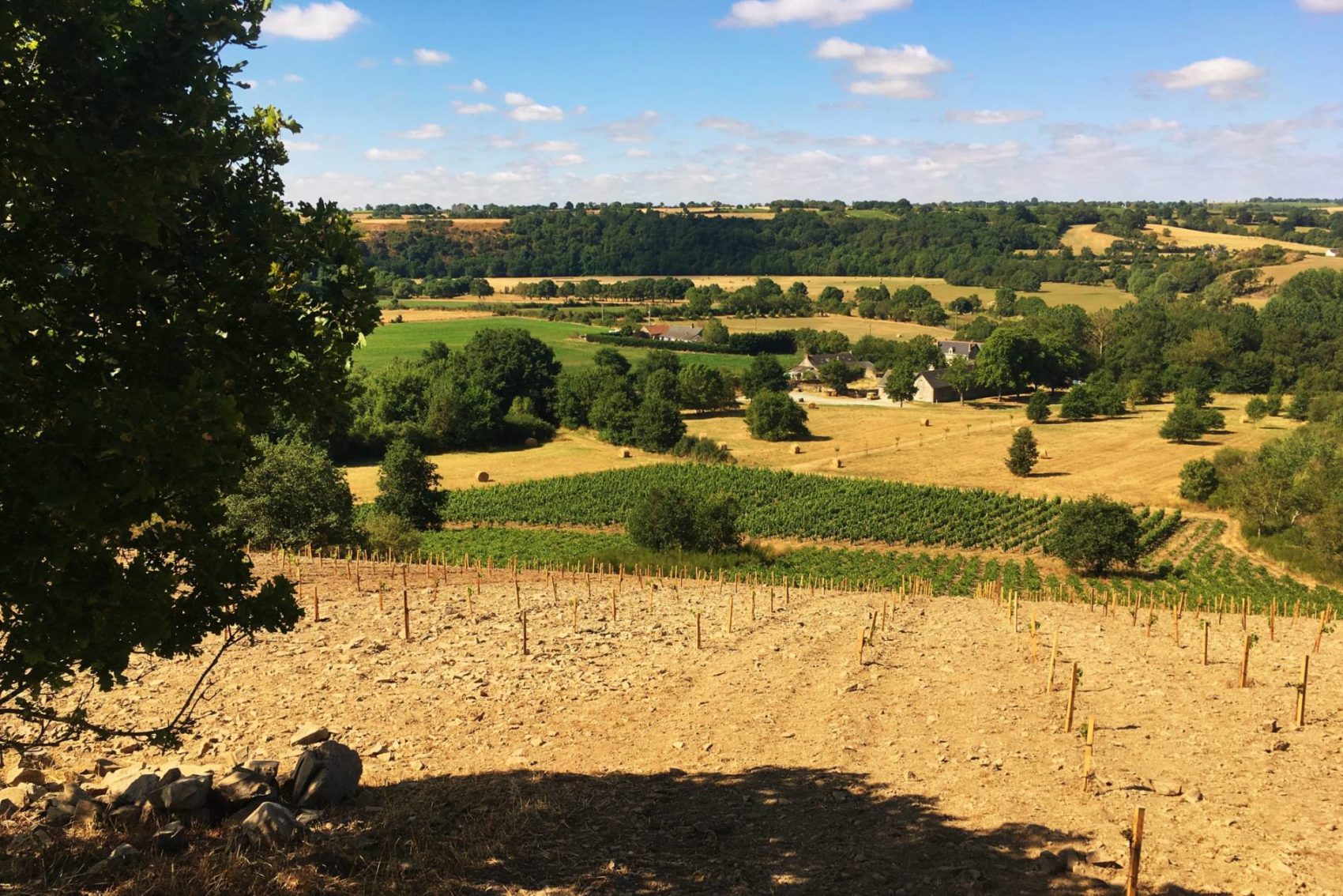 2019 – Loire