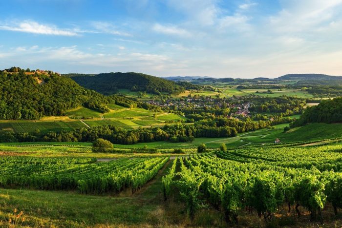 2019 Automne – Hiver – Les Dégustations Wine Rose 2019 Automne – Hiver – Les Dégustations Wine Rose