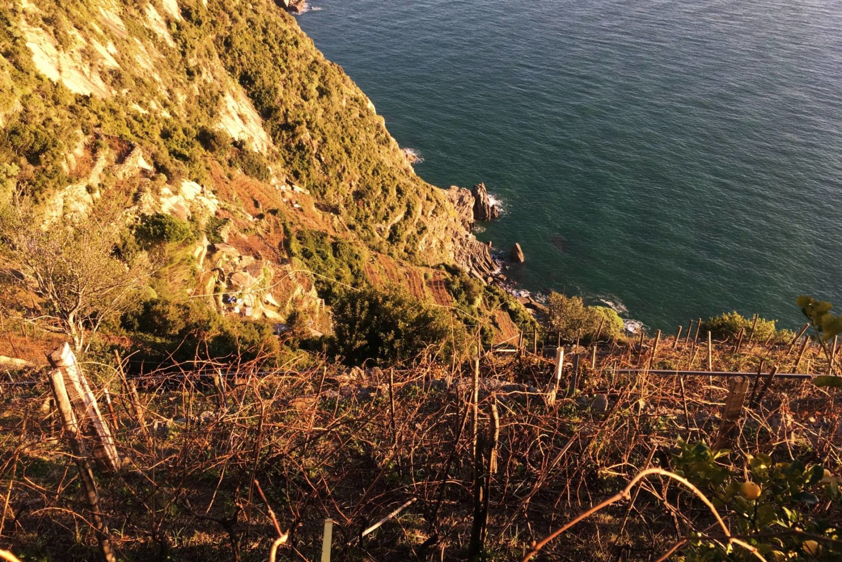 2020 – Ligurie