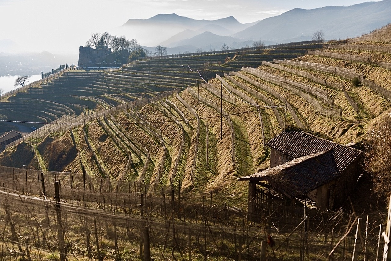2020 – Tessin