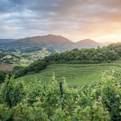 2021 – Irouléguy, Pays Basque