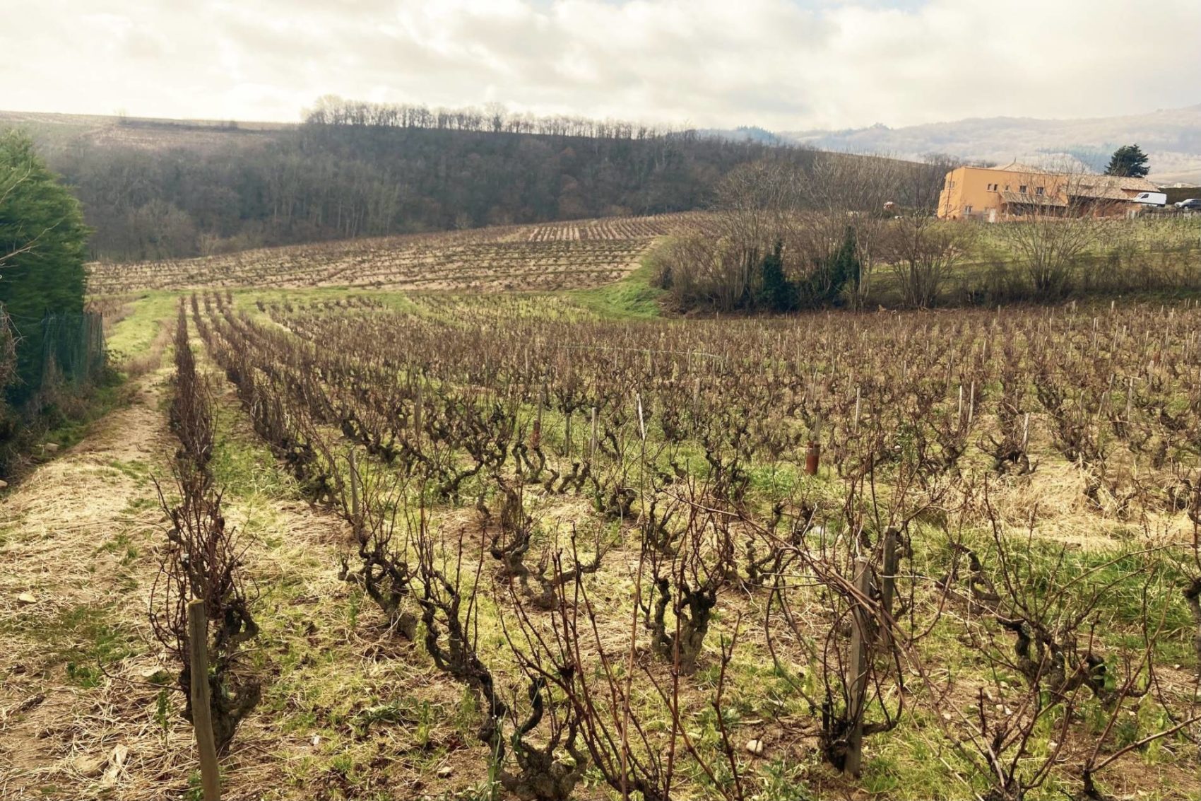 2022 – Beaujolais