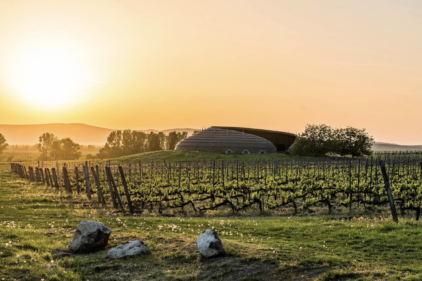 2023 – Cycle dégustations Wine Rose