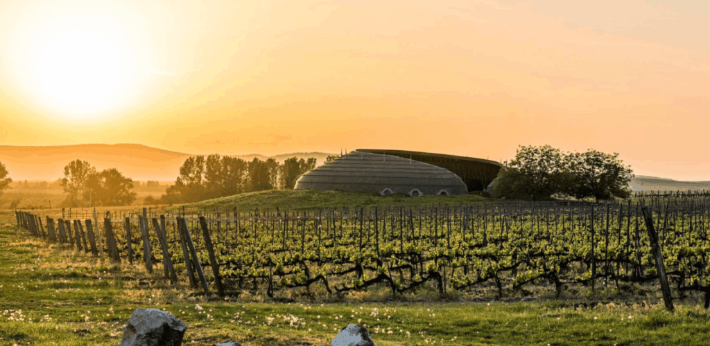 Un vignoble suisse baigné par la lumière dorée du coucher de soleil, avec un chai moderne intégré au paysage en arrière-plan.