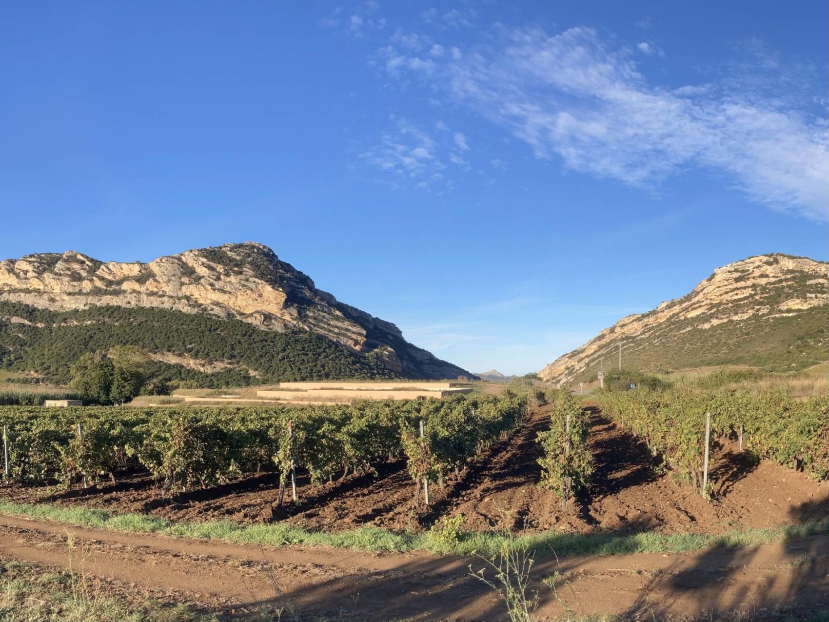 2024 – Cycle dégustations Wine Rose