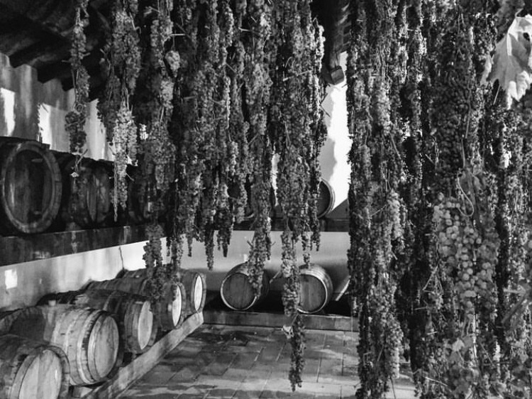 2024 – Toscane & Vin Santo