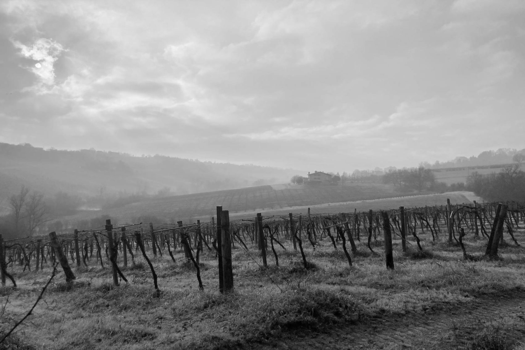 2025 – Emilia Romagna & Albana