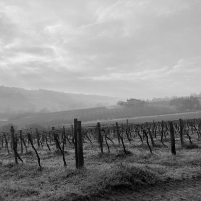 2025 – Emilia Romagna & Albana