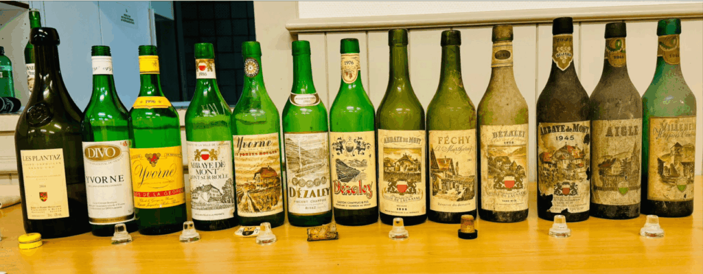 Une série de bouteilles de Chasselas du Canton de Vaud, millésimes 1944 à 2016, incluant des crus de Yvorne, Dézaley, Mont-sur-Rolle et Féchy, alignées sur une table en bois, présentées lors d’une dégustation à St-Saphorin.