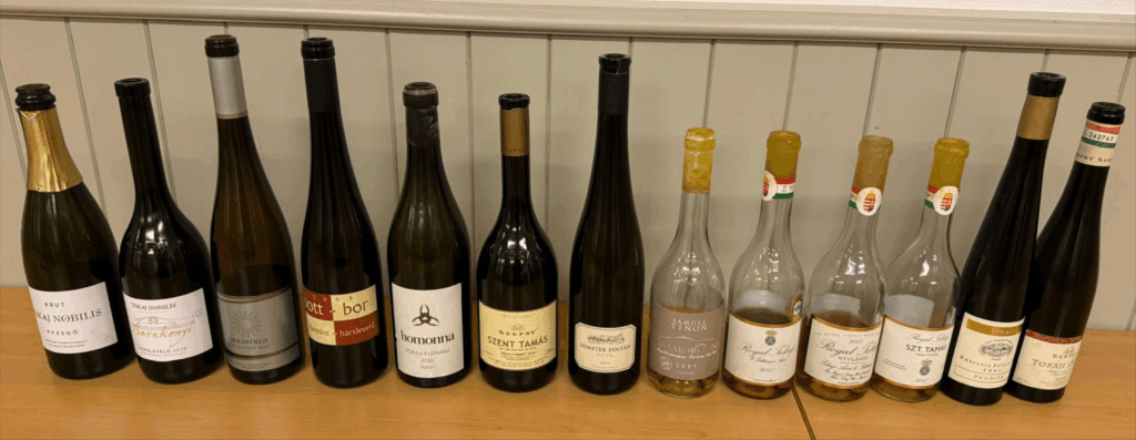 Une sélection de vins de Tokaj, incluant des blancs secs, effervescents, Szamorodni et Aszú, millésimes 2000 à 2021, alignés sur une table en bois, présentés lors d’une dégustation à St-Saphorin.