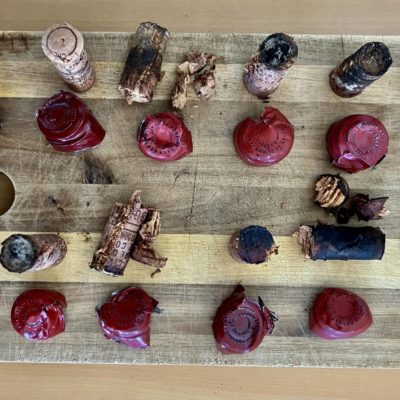 2026 – Cycle dégustations Wine Rose